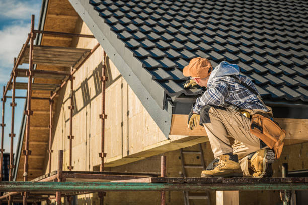 Best Skylight Installation and Repair  in Christiansburg, VA